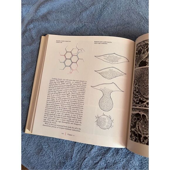 Vintage Biology Cell Book 1984 - Picture 5 of 6